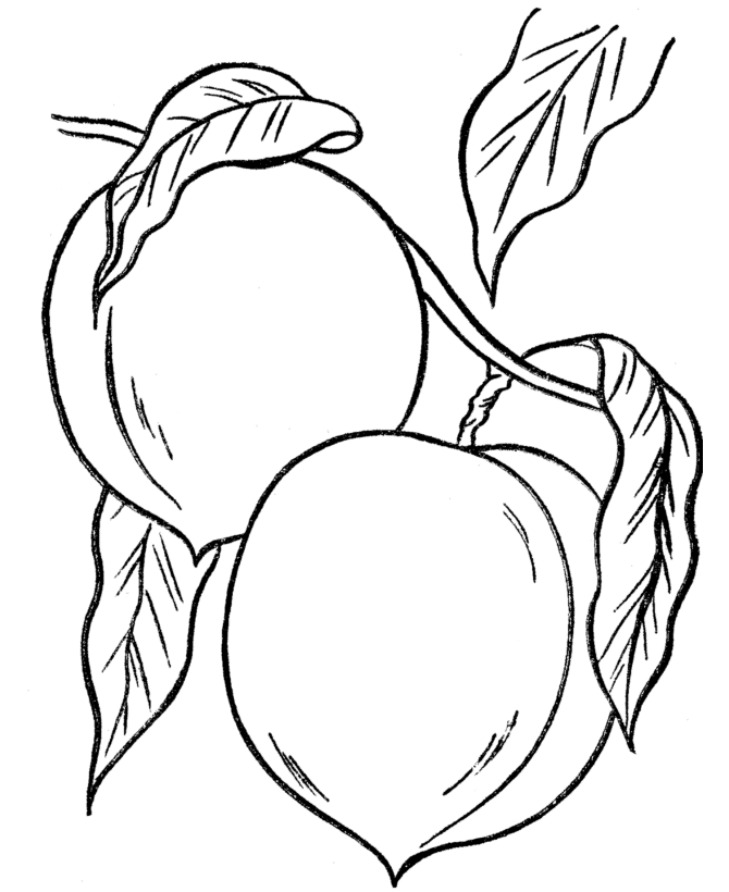  Peaches in the tree coloring page - Thanksgiving Dinner Coloring page