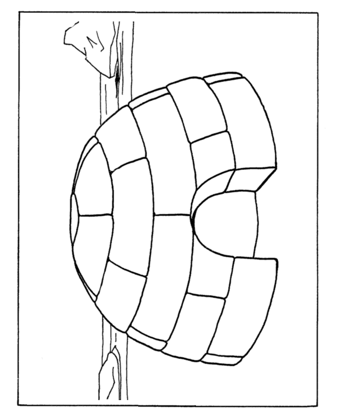 Eskimo Igloo coloring page