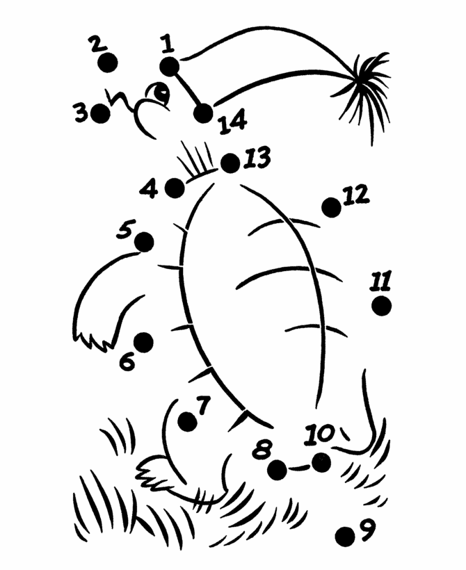Dot to Dot coloring page 