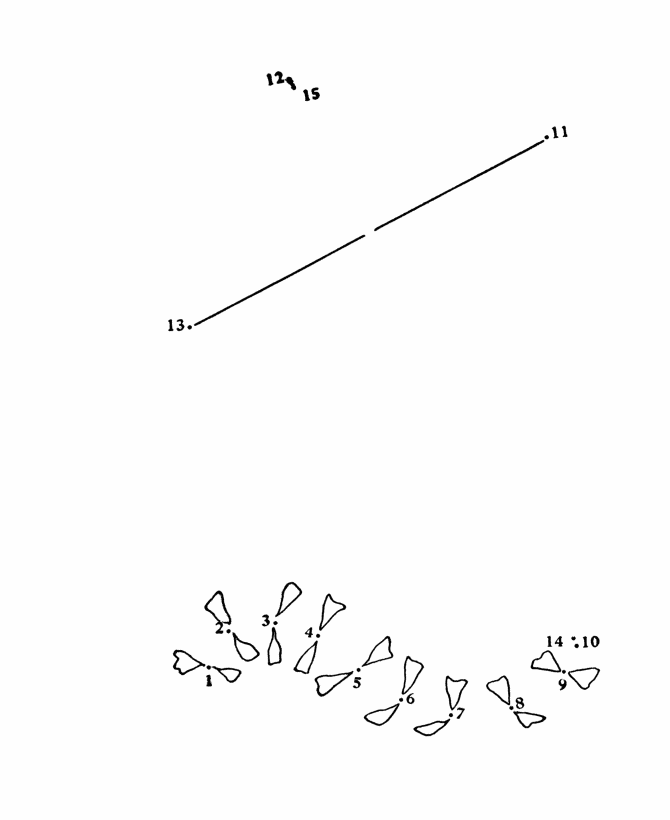 Dot to Dot coloring page 