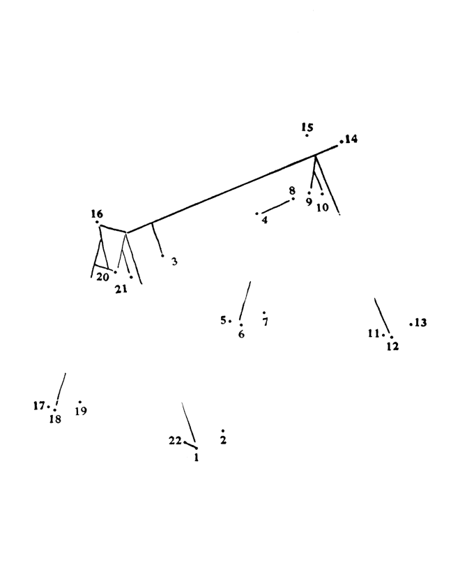 Dot to Dot coloring page 