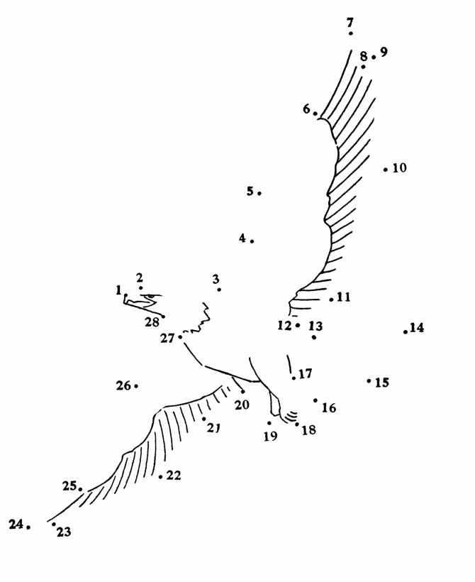 Dot to Dot coloring page 