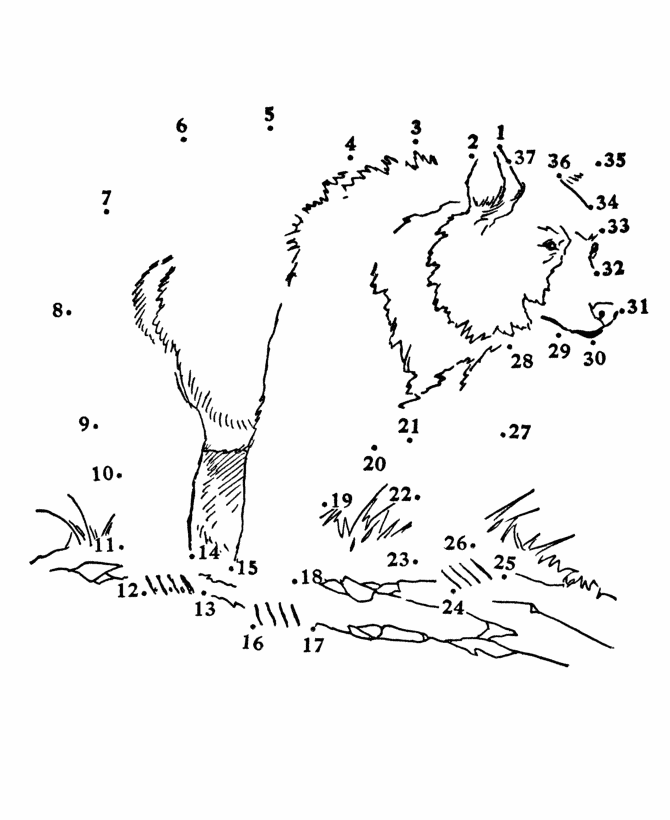 Dot to Dot coloring page 