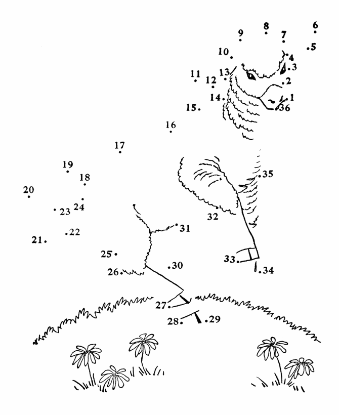 Dot to Dot coloring page 