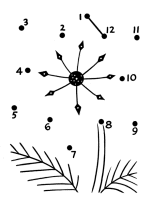 Dot to Dot pages