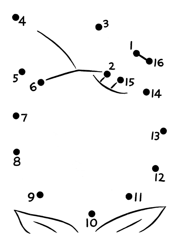 Easy Follow the Dot Activity sheet