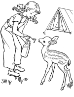 Feeding a Baby Deer