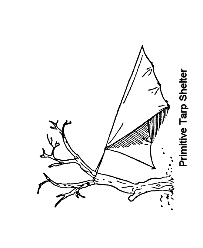 Primitive Tarp Shelter